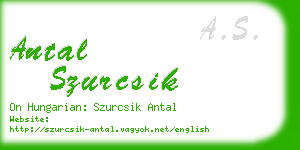 antal szurcsik business card